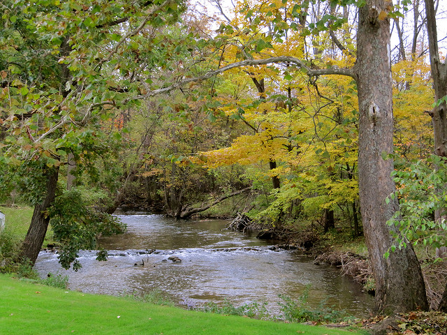 Creek in Grandville