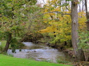 creek-in-grandville