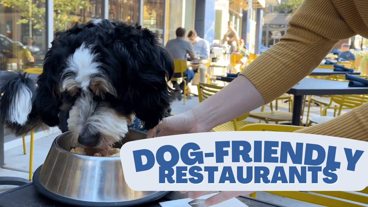 Top Grand Rapids Realtor May Group Realtors Re/MAX of Grand Rapids