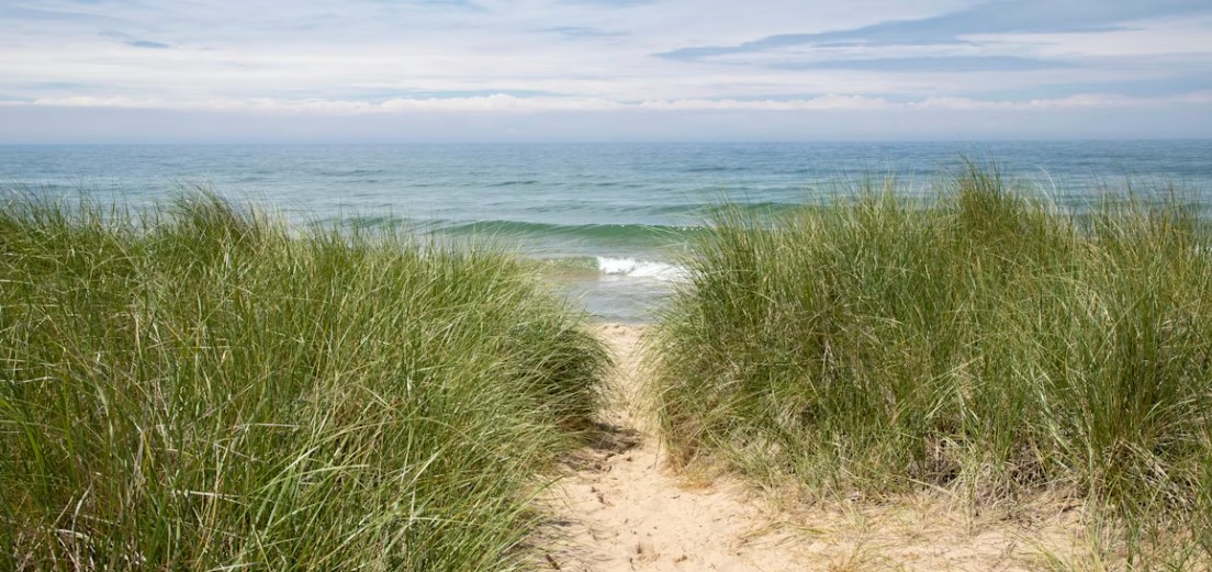 lake michigan summer