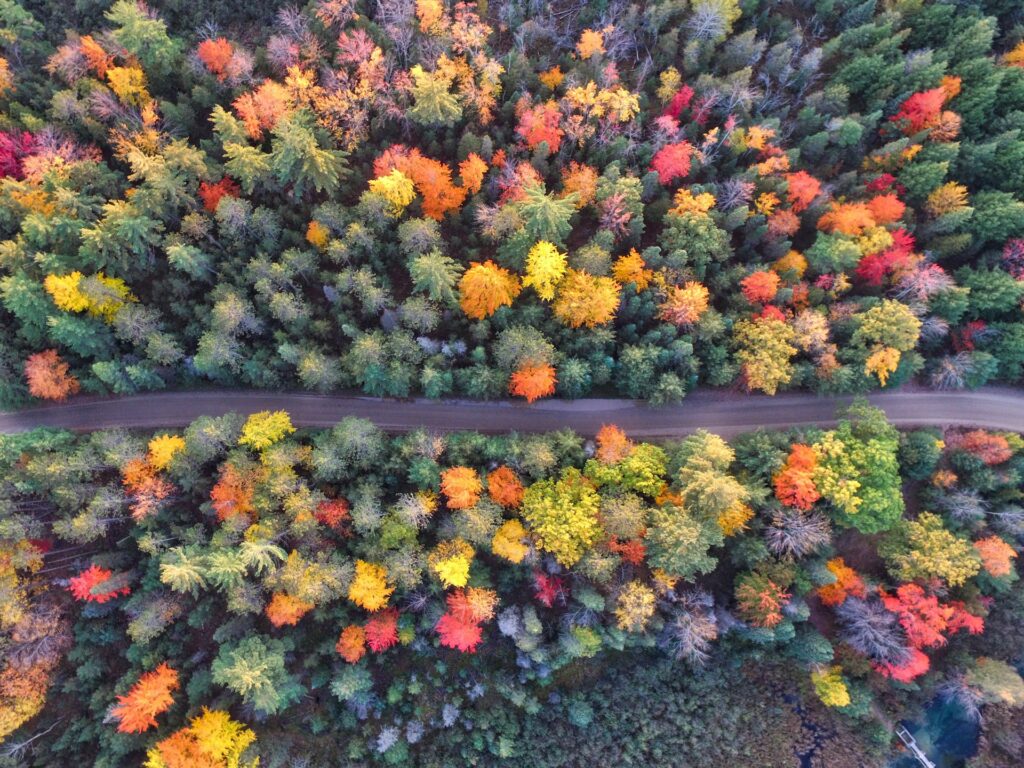 michigan road from above in the fall colors