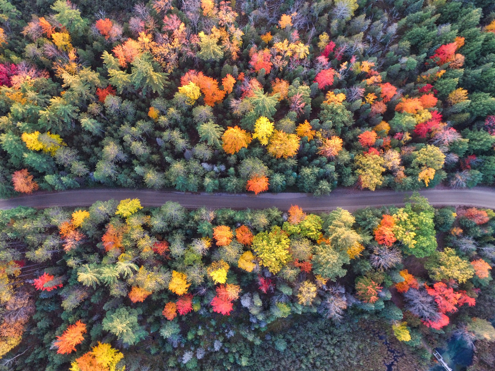 michigan road from above in the fall colors