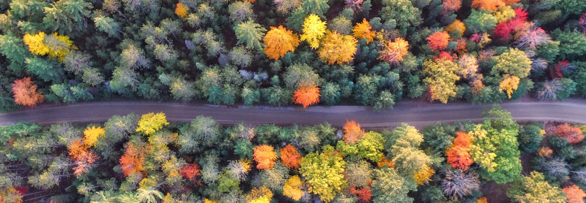 michigan road in the fall
