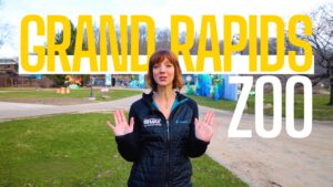 GR zoo - feat
