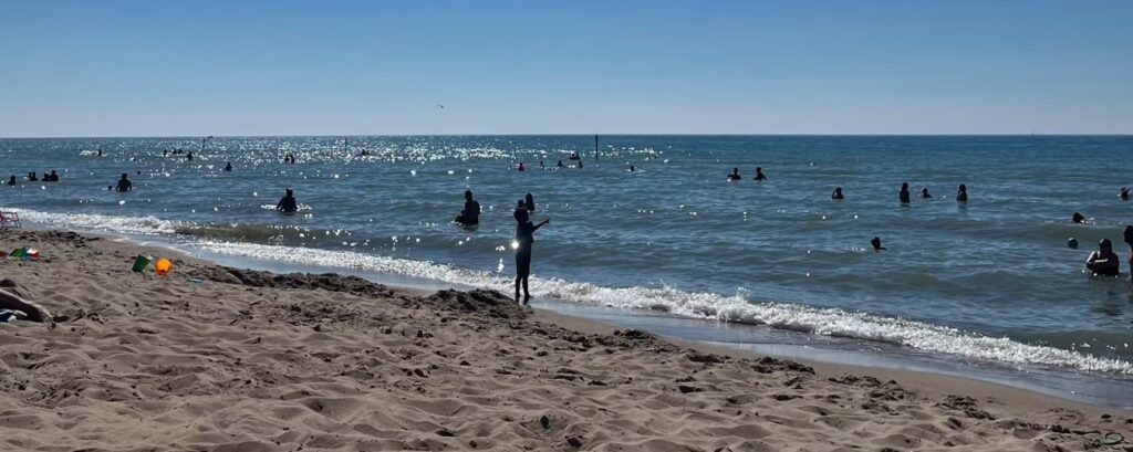 oval beach saugatuck mi