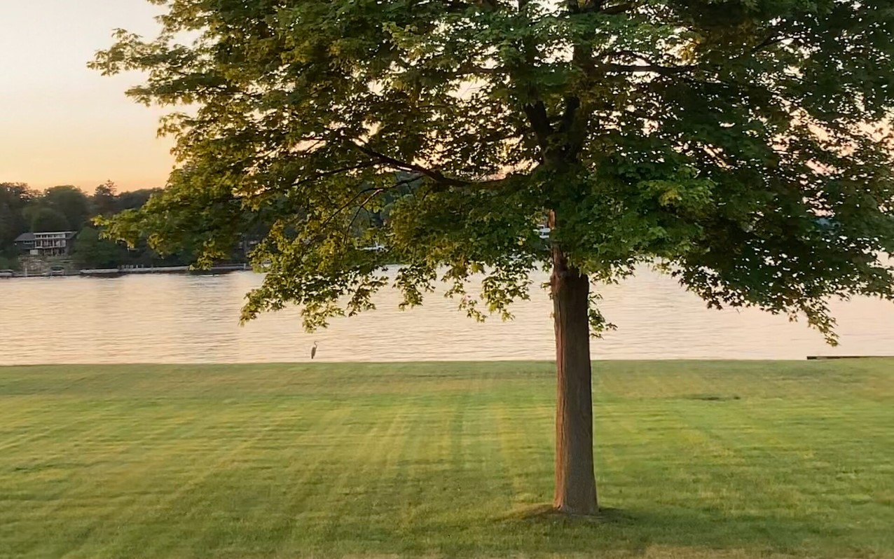 spring lake at sunset